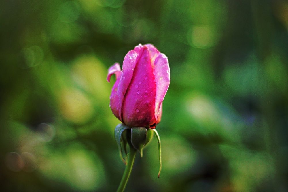 Photograph by Юрий