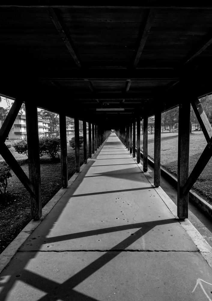 Photograph by Wanery COULIBALY