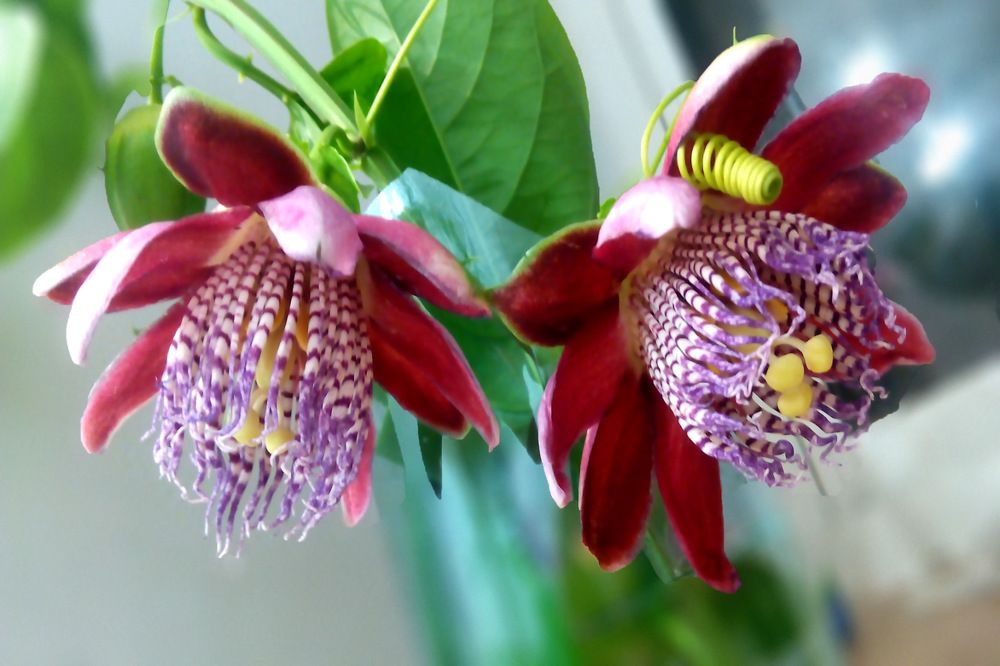 Фотография автора ANA  LIA