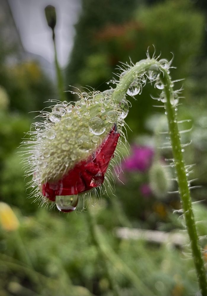 Photograph by Алиса Лукина