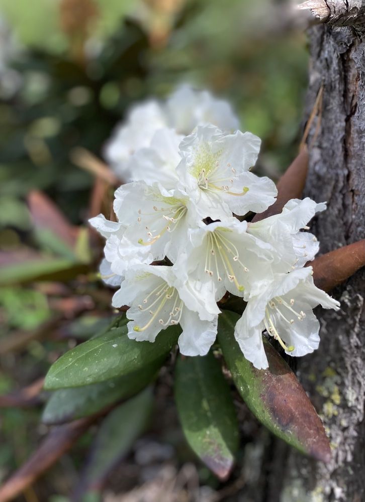 Photograph by Алиса Лукина