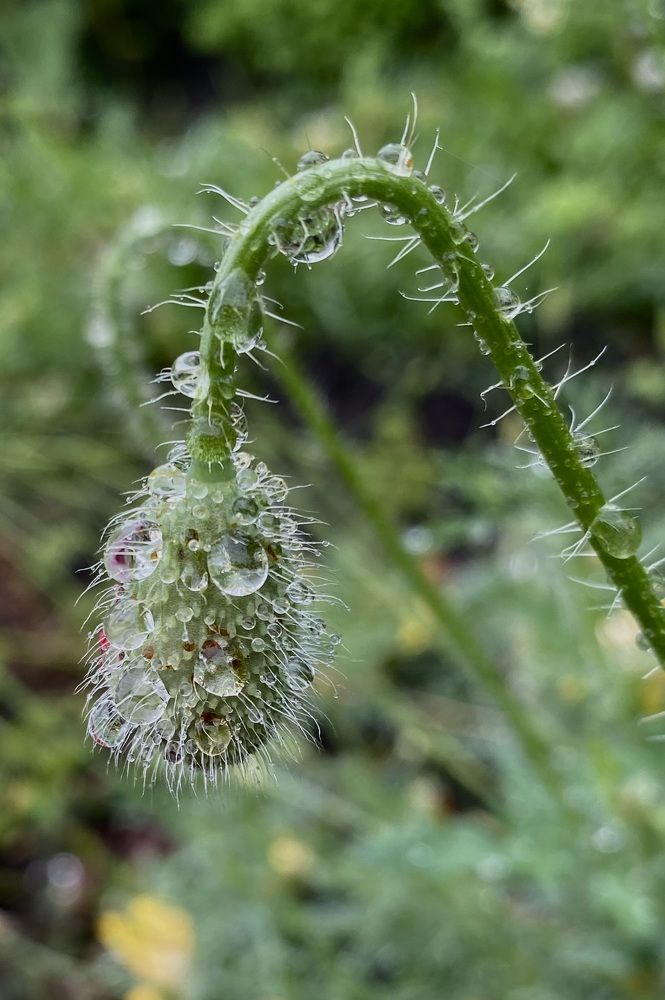 Photograph by Алиса Лукина