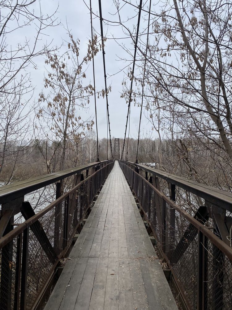 Photograph by Алиса Лукина