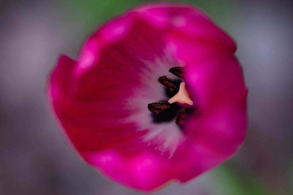 Photograph by Evgenia Loskutova