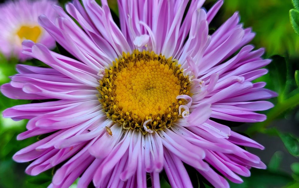 Photograph by Метушова Анна