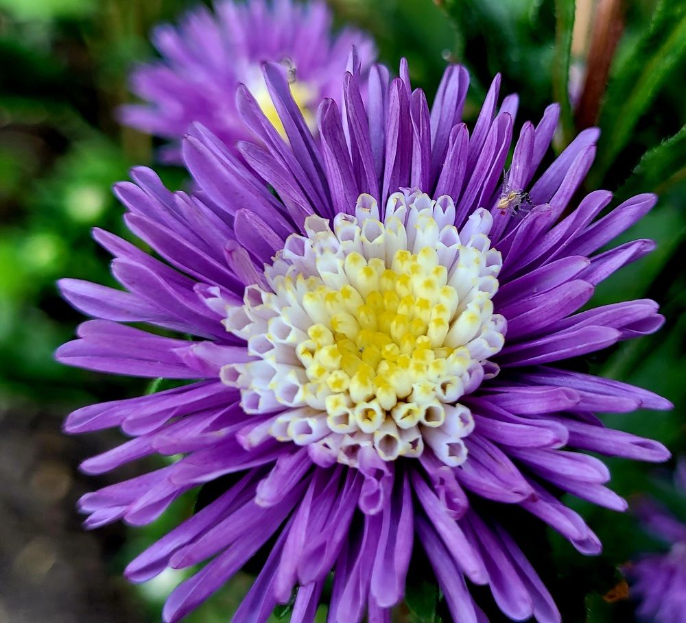 Photograph by Метушова Анна