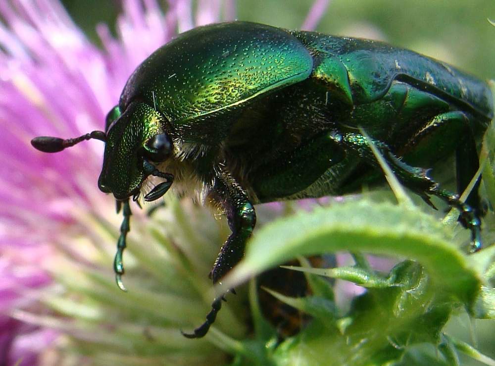 Фотография автора Павел Попов