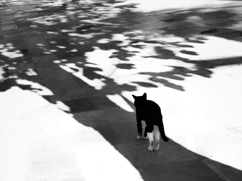 Photograph by Hellen de Carvalho