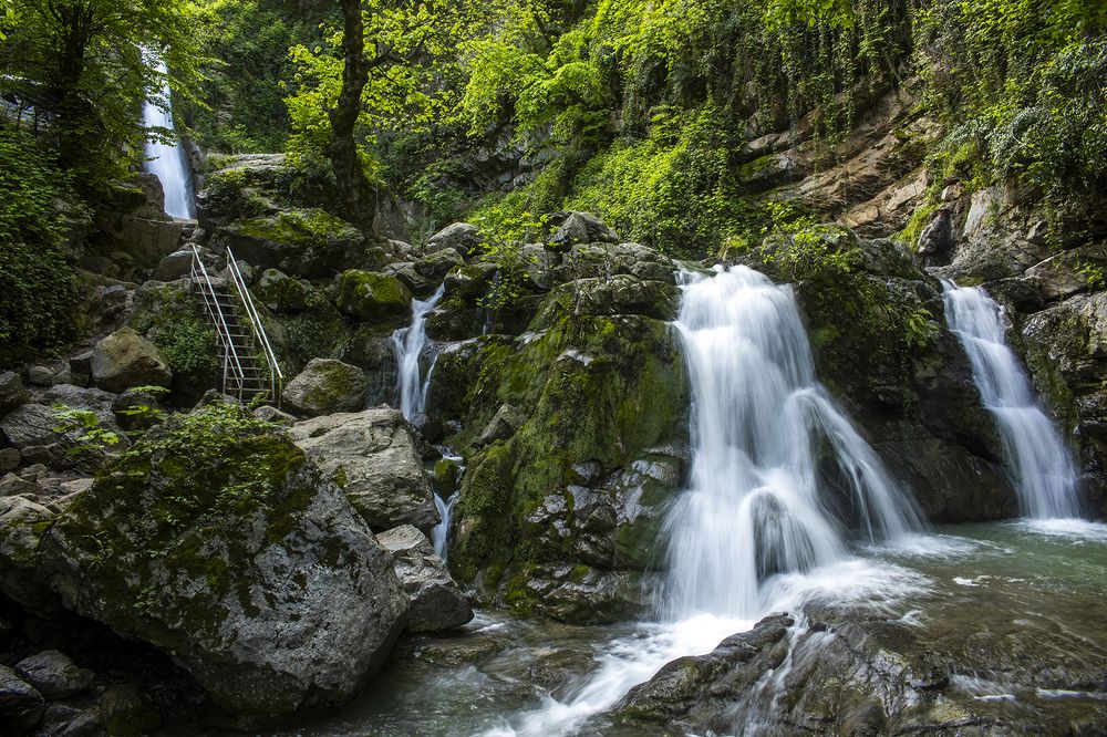 Photograph by Reza Zanganeh