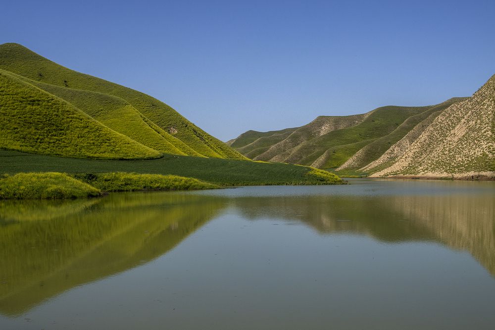 Photograph by Reza Zanganeh