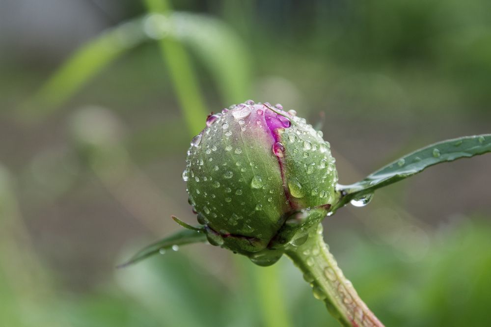 Photograph by Олег Малетин