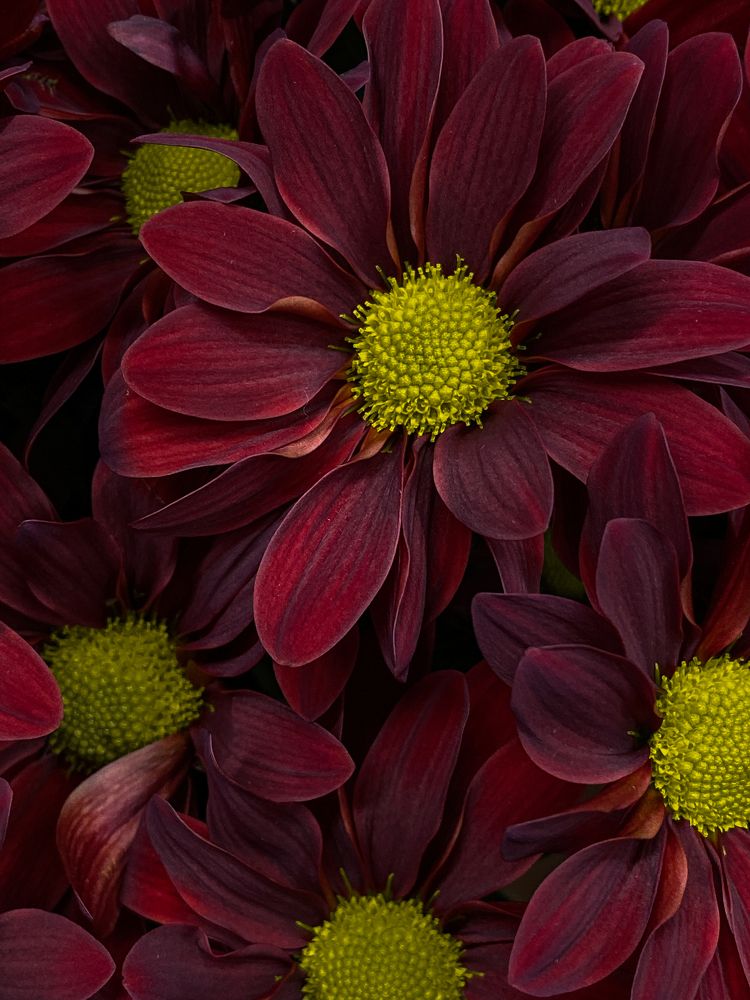 Photograph by Дарья Махнёва