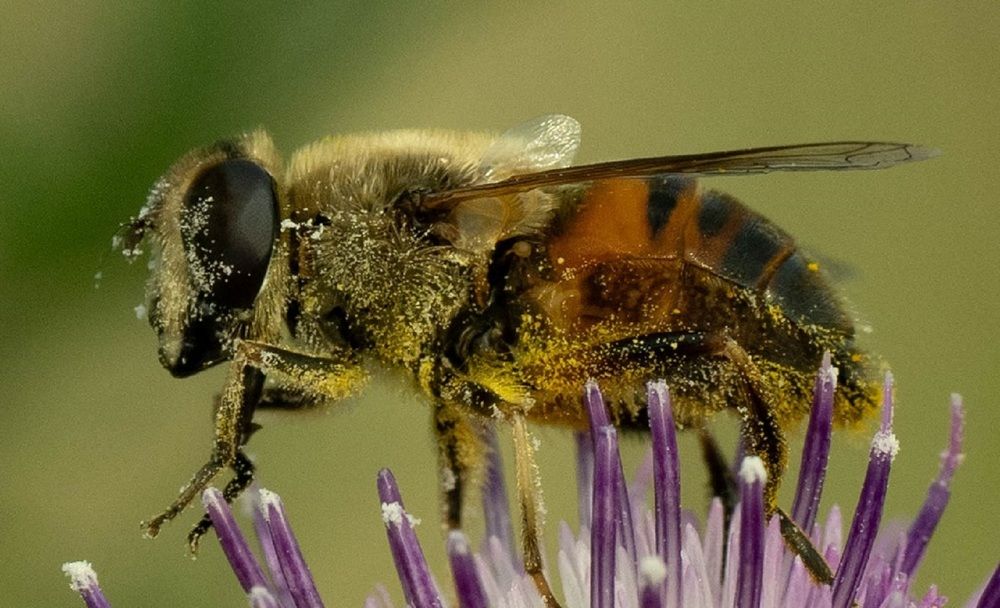 Photograph by Олег Фролов