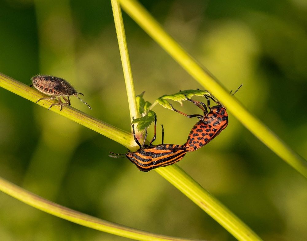 Photograph by Олег Фролов