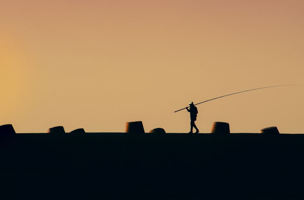 Photograph by Tarek  El Magrabe