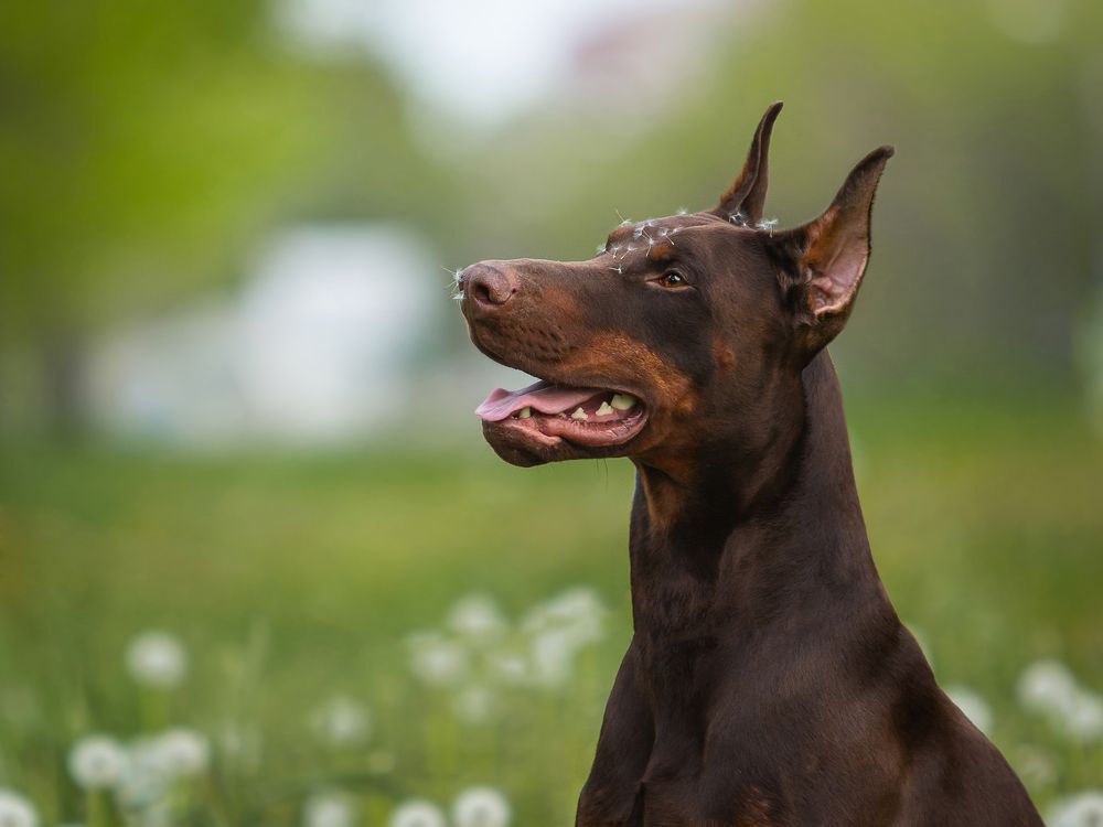 Photograph by Варвара Торокина
