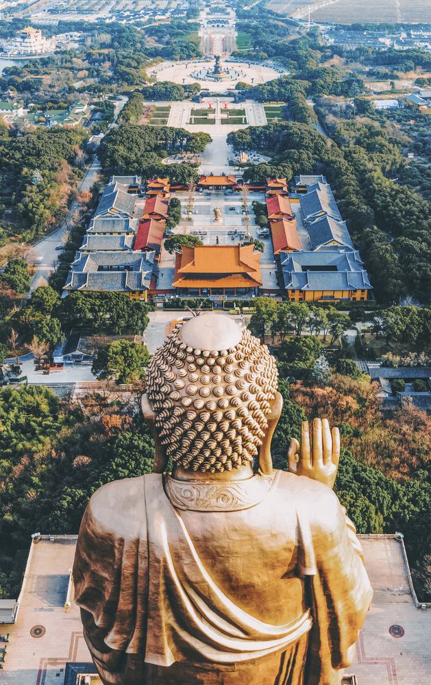 The Great Buddha Looking Down on All Living Beings