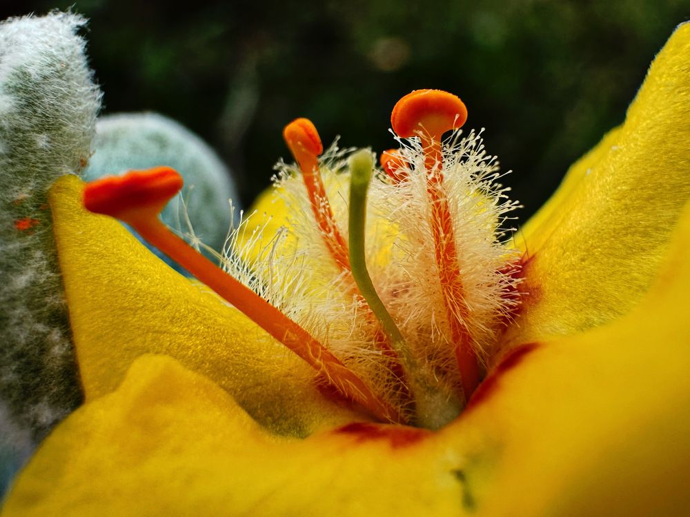 Photograph by Елена Солодовник