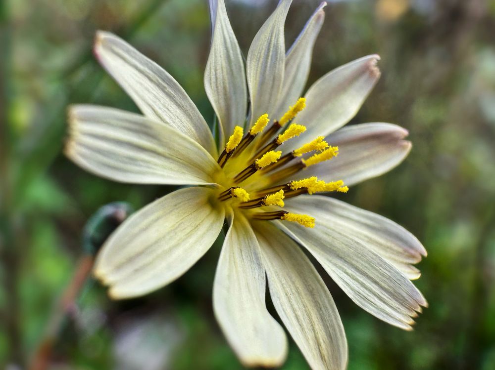 Photograph by Елена Солодовник