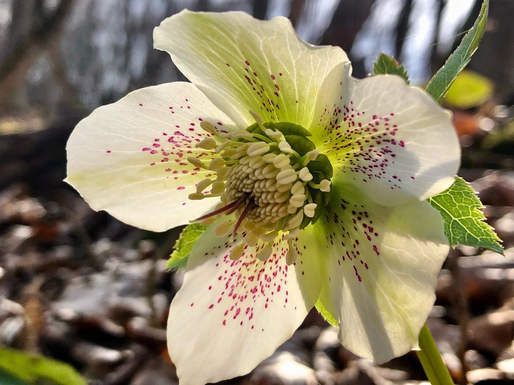 Photograph by Елена Солодовник