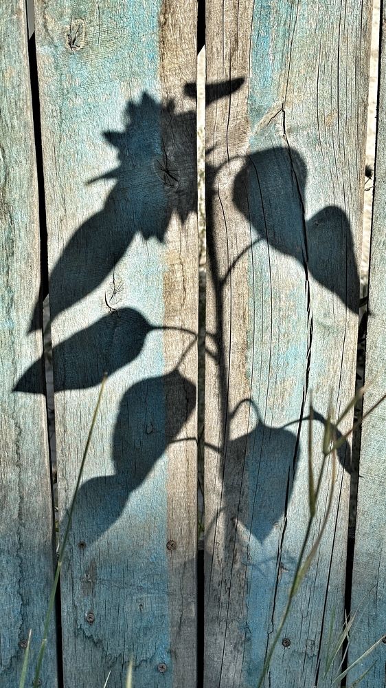 Photograph by Елена Гущина