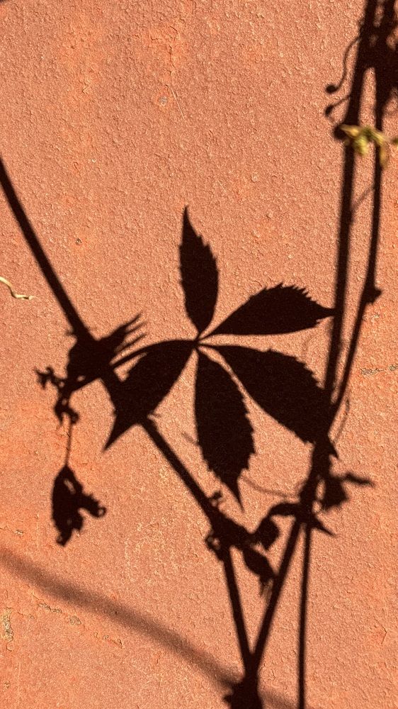 Photograph by Елена Гущина