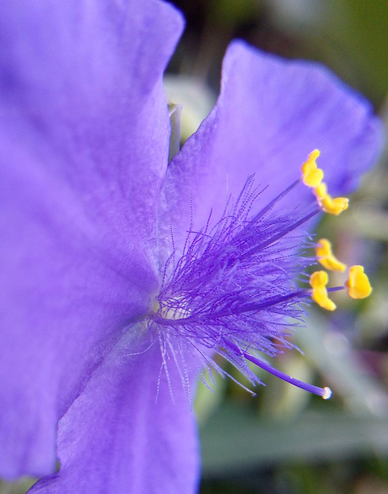 Photograph by Светлана Фёдорова