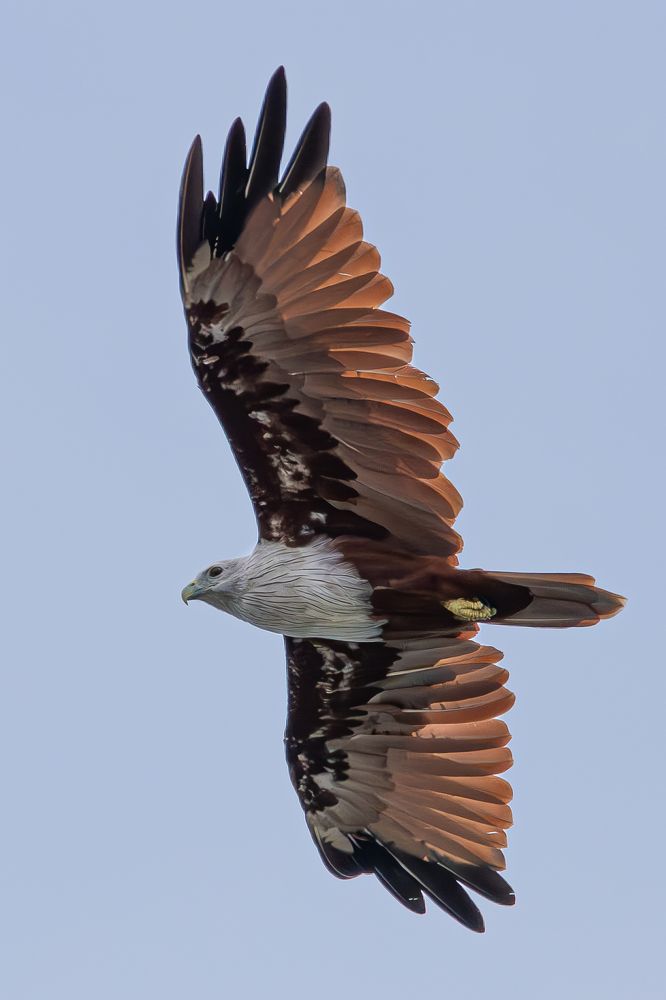 Photograph by Алексей