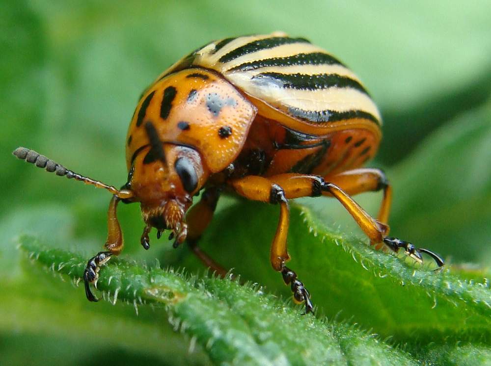 Фотография автора Павел Попов