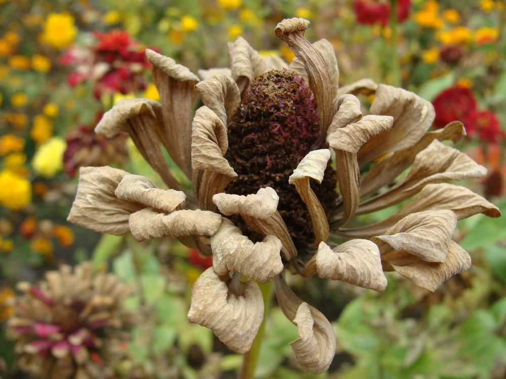 Фотография автора Павел Попов