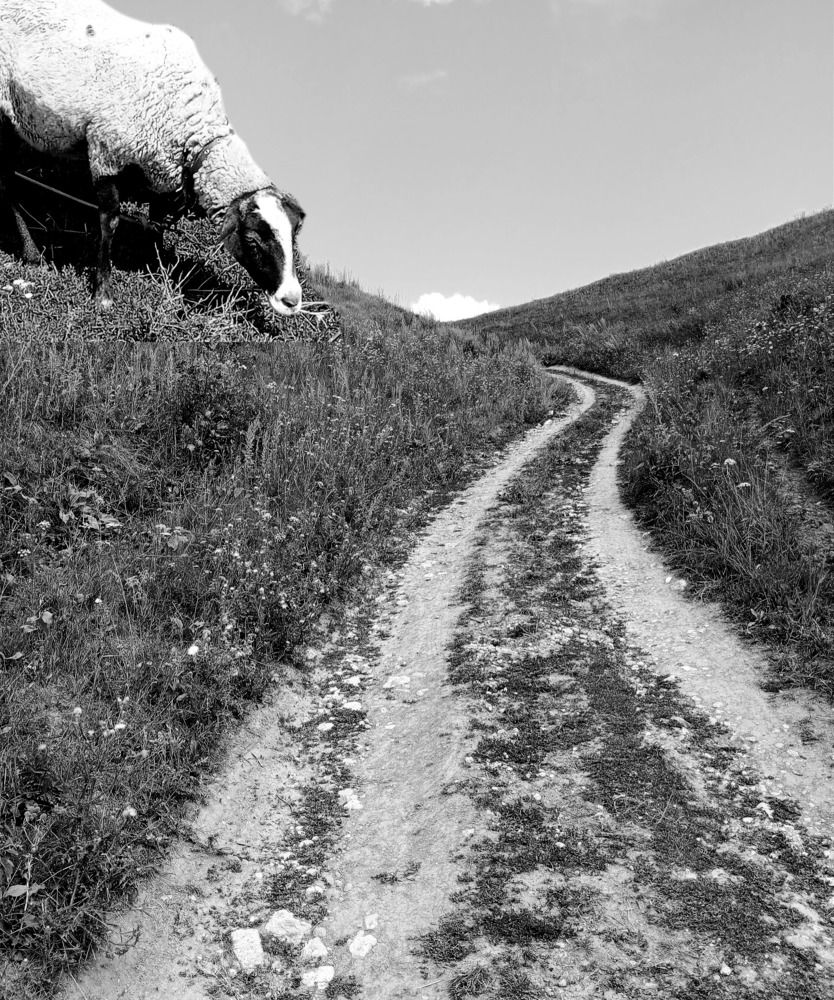 Photograph by Татьяна Кунц