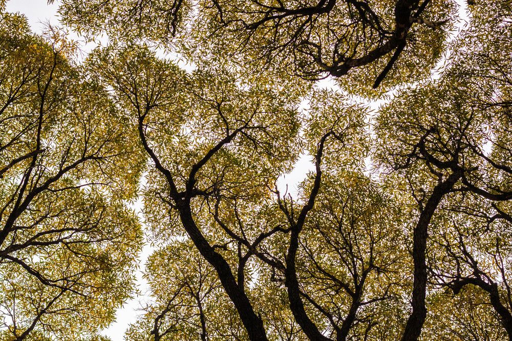 Photograph by Иван Овчинников