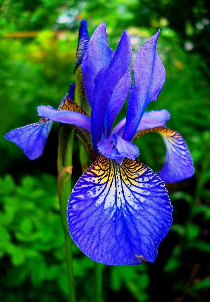 Фотография автора АЛЕКСАНДР ЦЫГЕЛЬНЮК