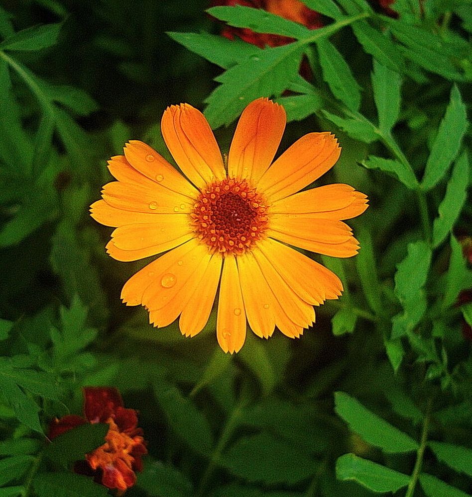 Фотография автора АЛЕКСАНДР ЦЫГЕЛЬНЮК