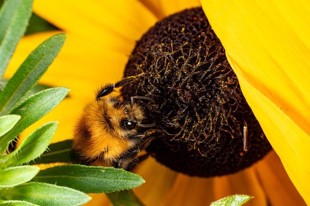 Photograph by Руслан Нигматуллин