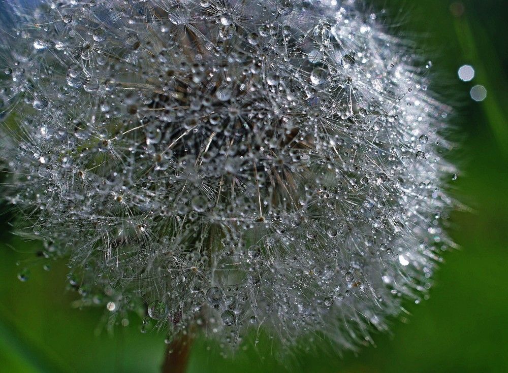 Photograph by Наталья Камайкина