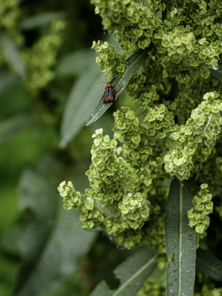 Photograph by Анна Потапова