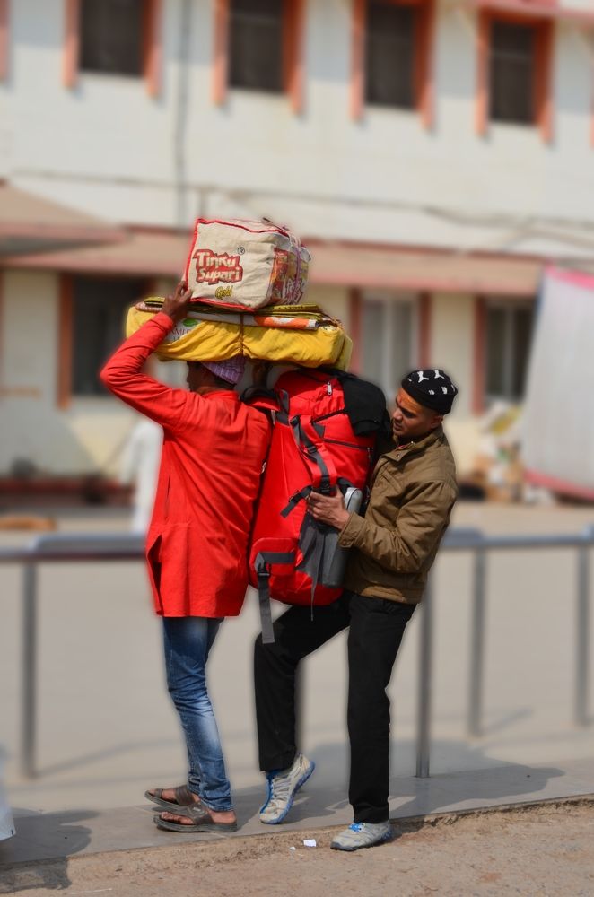 Photograph by Dr.Pradeep Agrawal