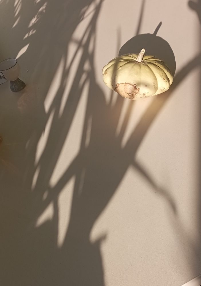 Photograph by Анастасия Кичигина