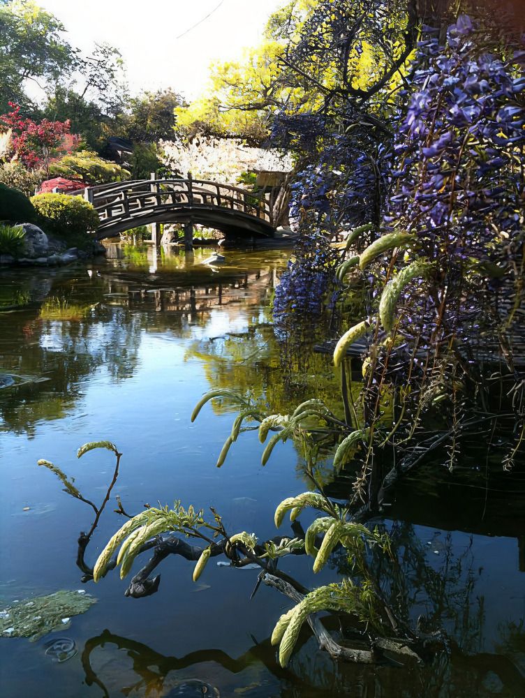 Photograph by Карина Плахова