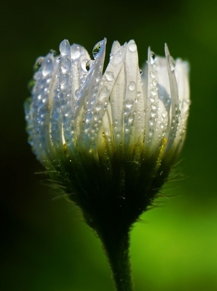 Photograph by Наталья Соколова