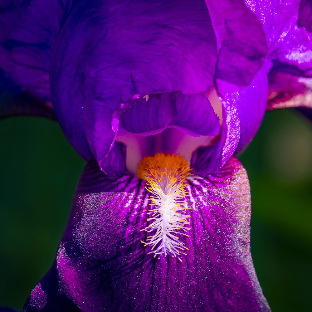 Photograph by Silvija Danelsone