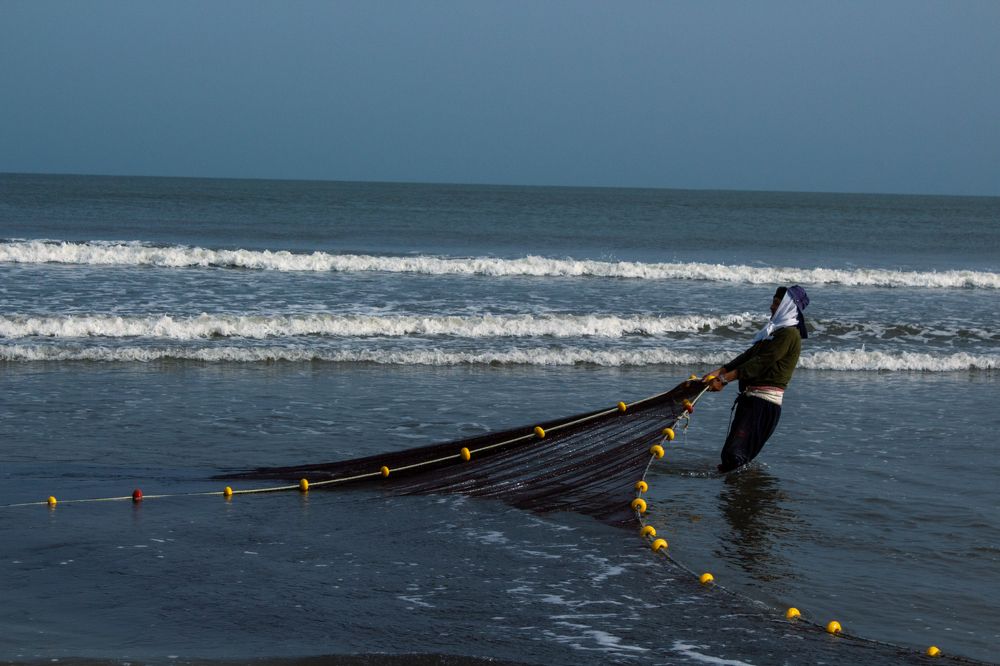 Photograph by Salma Elsherbini