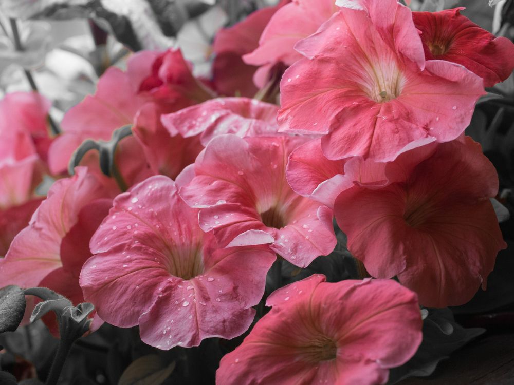 Photograph by Руслан Гончар