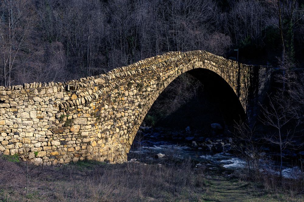 Photograph by Silvija Danelsone