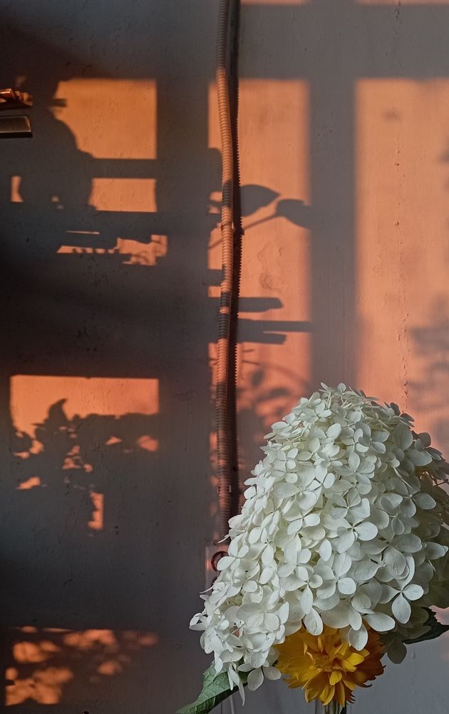 Photograph by Анастасия Кичигина