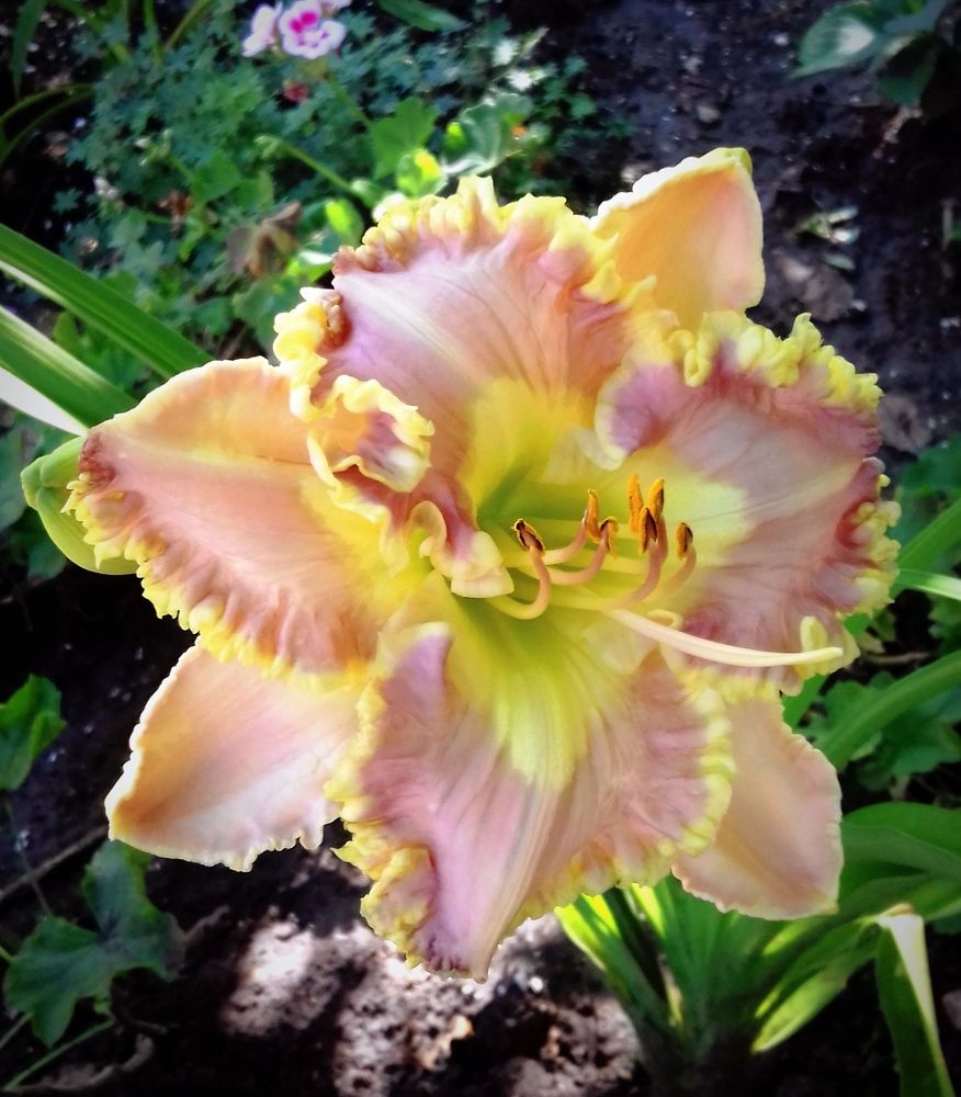 Photograph by Наталья Назаренко