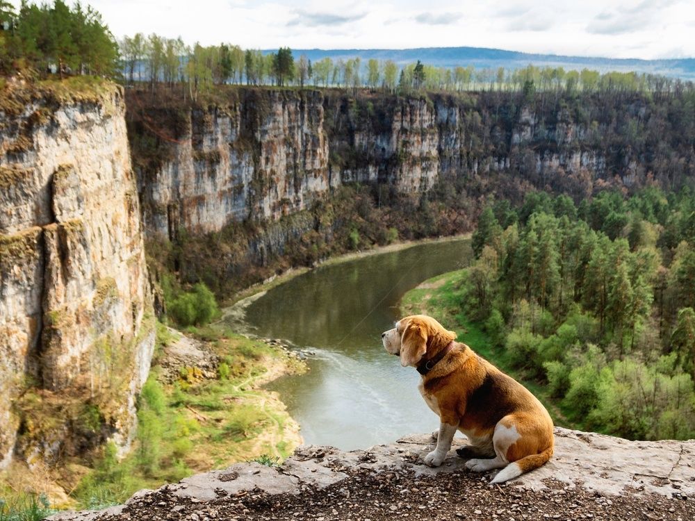 Photograph by Александр Лопатин