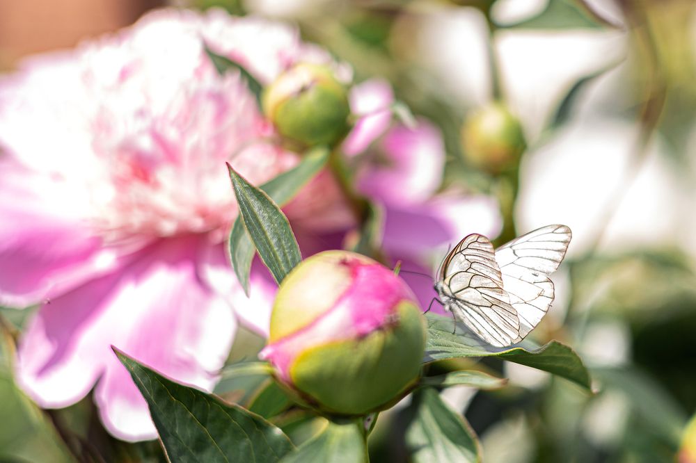 Photograph by Татьяна Бокарева