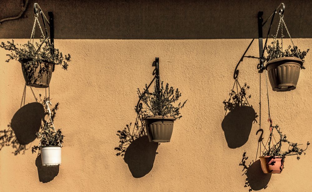 Фотография автора Milena Ivanova